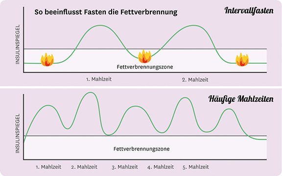 Fettverbrennung